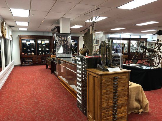 The Stirrup Gallery of Davis & Elkins College